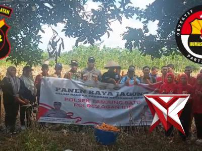 Panen raya jagung - PoliceTube