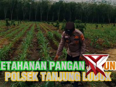 Ketahanan Pangan Jagung - PoliceTube