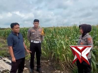 Yuk lebih mengenal lebih jauh mengenai lahan pal 17 yang di kelola oleh Kapolda Kal-Sel - PoliceTube