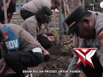 Polresta Bengkulu Optimalkan Pekarangan Pangan Lestari, Tanam Uwi Ungu dan Kembangkan Perikanan Dal - PoliceTube