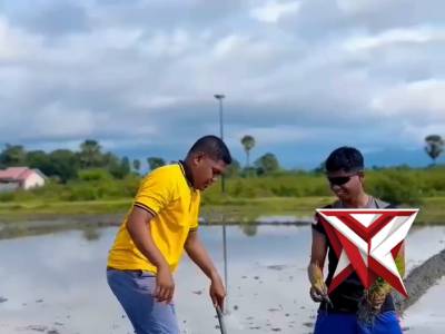 Dukung Program Asta Cita Presiden Polres Kupang Tanam Padi di Lahan milik Polres - PoliceTube