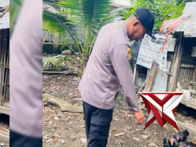 Pers Polsek Jejawi cek ketahanan Pangan perkarangan Ternak Ayam Kampung di Desa Jejawi OKI