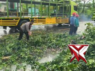 Polisi membersihkan pohon tumbang - PoliceTube