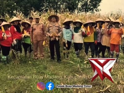 PANEN RAYA JAGUNG KUARTAL I TAHUN 2026 - PoliceTube