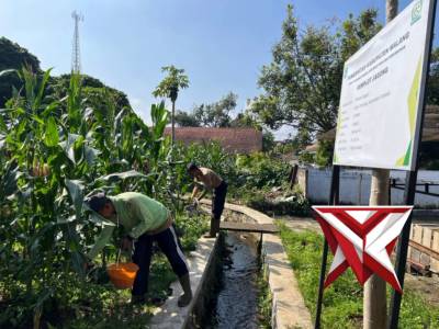 Ketahanan pangan - PoliceTube