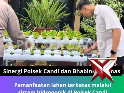 Hidroponik Polsek Candi - PoliceTube