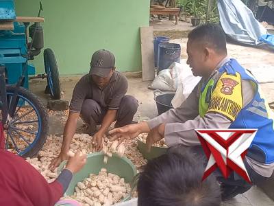 Penggilingan pipil jagung