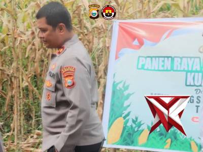 Panen raya jagung serentak kuartal III - PoliceTube