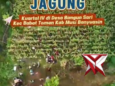 Melaksanakan Kegiatan Panen Jagung penanaman kwartal IV Tahun 2025