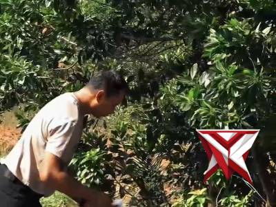 Dalam rangka menindaklanjuti perintah Presiden Republik Indonesia, Prabowo Subianto - PoliceTube