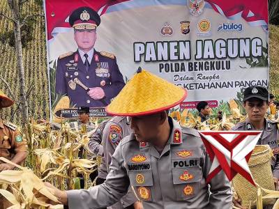 KAPOLDA BENGKULU PIMPIN PANEN JAGUNG RAYA DI KABUPATEN KEPAHIANG - PoliceTube
