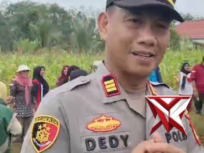 Panen jagung - PoliceTube