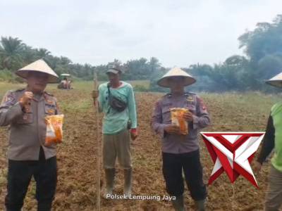 KAPOLSEK LEMPUING JAYA MELAKSANAKAN KEGIATAN PENANAMAN LAHAN JAGUNG KUARTAL 1 2026 - PoliceTube