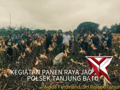 Kegiatan Panen Raya Jagung Polsek Tanjung Batu - PoliceTube