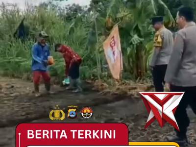 Tanam jagung - PoliceTube