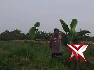 Ketahanan Pangan Nasional Polsek Baros