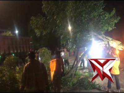 Mendatangi TKP Pohon tumbang - PoliceTube