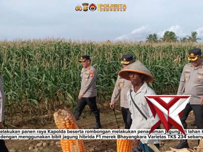Kapolda Bengkulu Pimpin Panen Raya dan Penanaman Jagung Serentak Dukung Ketahanan Pangan 2026 Polda - PoliceTube