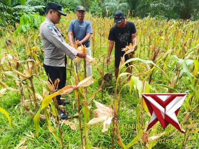 Ketahanan pangan - PoliceTube