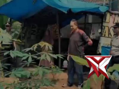 BHABINKAMTIBMAS POLSEK LUBUK BATANG MEMANTAU BINAAN MASYARAKAT LUBUK BATANGUTK KETAHANAN PANGAN TERN - PoliceTube