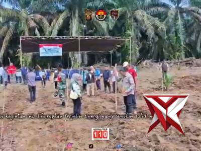 Polsek Lais bersama unsur terkait bersama melakukan penanaman jagung - PoliceTube