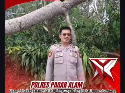 Personil Piket Patroli Polsek Pagaralam Selatan Sigap mengevakuasi pohon tumbang yang mengganggu kel - PoliceTube