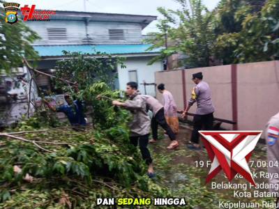 Respon Cepat Polsek Belakang Padang Evakuasi Pohon Tumbang - PoliceTube