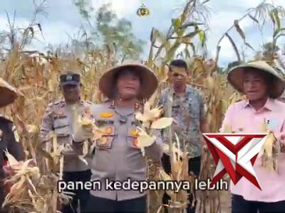 Panen raya jagung serentak Polres MBD