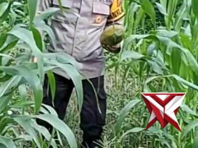 Polsek BTS Ulu Polres Musi Rawas