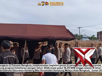 Kapolda Bengkulu Pimpin Panen Raya dan Penanaman Jagung Serentak Dukung Ketahanan Pangan 2026 Polda - PoliceTube