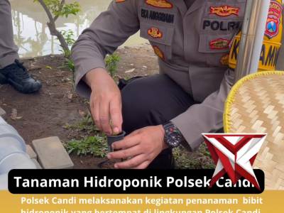Tanaman Hidroponik Polsek Candi - PoliceTube