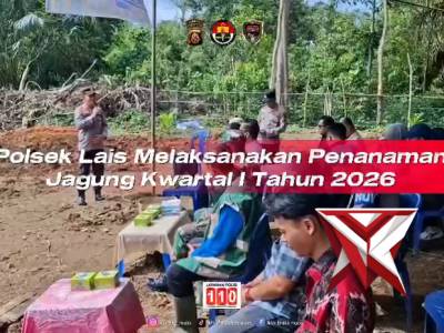 Polsek Lais bersama unsur terkait bersama melakukan penanaman jagung - PoliceTube