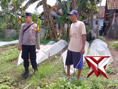 PEKARANGAN PANGAN BERGIZI