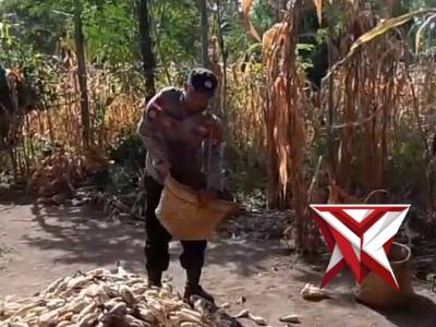 POLSEK KISAR - PoliceTube