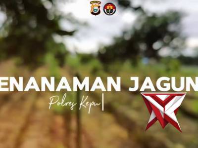 PENAMAMAN JAGUNG POLRES KEPULAUAN SULA