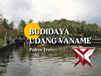 Kolaborasi Apik, Polres Trenggalek dan KPT-P4 Buana Alam Lestari Kembangkan Udang Vaname Organik - PoliceTube