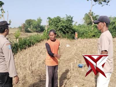 Giat pendampingan petani jagung - PoliceTube