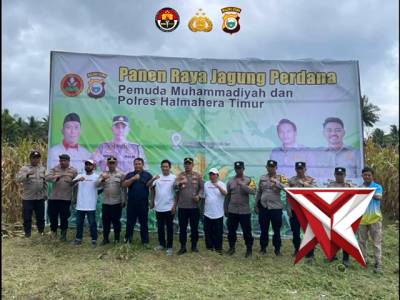 Panen Raya Jagung Perdana Pemuda Muhammadiyah dan Polres Halmahera Timur - PoliceTube