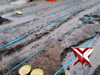 KAPOLRES TERNATE HADIRI PENANAMAN JAGUNG SERENTAK KUARTAL IV DAN PERESMIAN GUDANG KETAHANAN PANGAN - PoliceTube