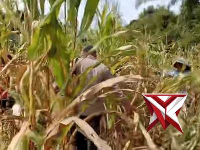 Ketahanan pangan - PoliceTube