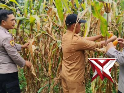 Polsek Pangkalan Balai - PoliceTube