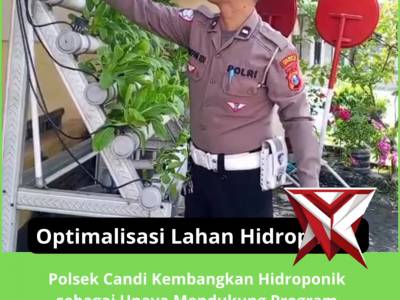 Optimalisasi lahan Hidorponik - PoliceTube