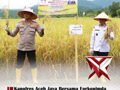Kapolres Aceh Jaya Bersama Forkopimda Gelar Gerakan Panen Raya Padi Tahun 2025