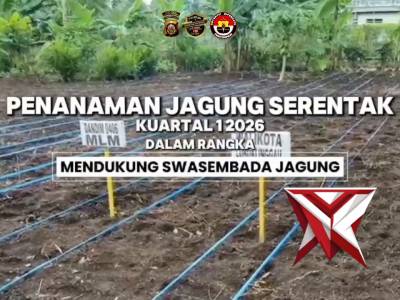 Sinergi Polri dan Petani: Polres Lubuk Linggau Gelar Tanam Raya Kuartal I dukung Swasembada Pangan 2