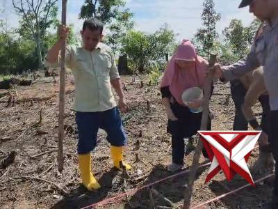 PENANAMAN JAGUNG SERENTAK KUARTAL III POLSEK KOTA LAHAT POLRES LAHAT