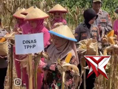 Panen raya jagung serentak kuartal I Tahun 2026 menjadi wujud sinergi Polres Magetan bersama pemerin