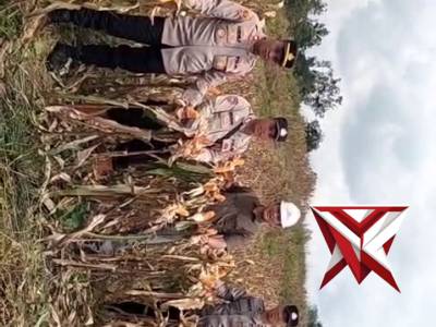 Giat panen jagung kuartal 4 - PoliceTube