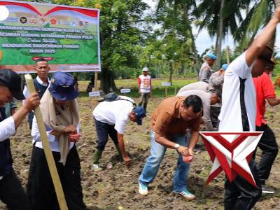 Tanam Jagung Serentak Kuartal IV Tahun 2025 Polres Gorontalo