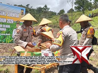 Polres Tolikara Serahkan Bibit Jagung Dan Penanaman Serentak Kuartal I Tahun 2026 di Distrik Wenam