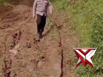 Panen jagung polsek bts ulu